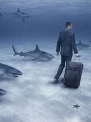 pic for Walking with the sharks